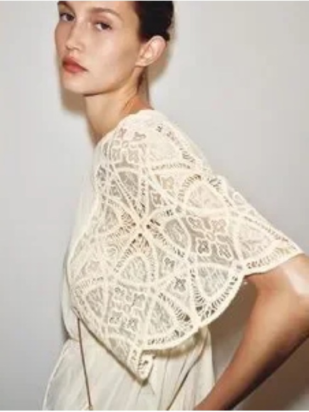 Zara Cream Crochet Lace Sleeve Top